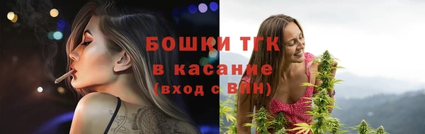 ПСИЛОЦИБИНОВЫЕ ГРИБЫ Гусиноозёрск