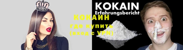 ПСИЛОЦИБИНОВЫЕ ГРИБЫ Гусиноозёрск