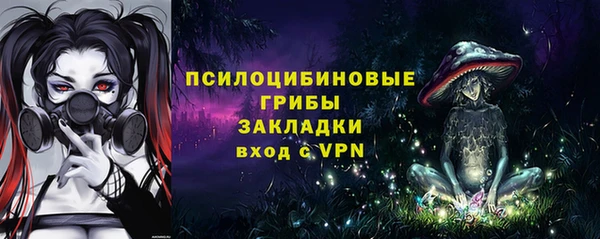 ПСИЛОЦИБИНОВЫЕ ГРИБЫ Гусиноозёрск