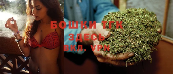 ПСИЛОЦИБИНОВЫЕ ГРИБЫ Гусиноозёрск