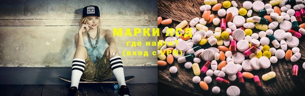 крисы Дмитров