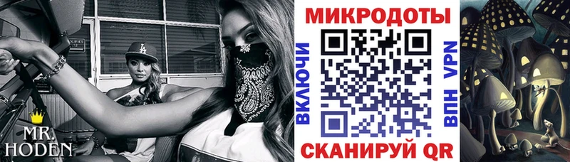 Псилоцибиновые грибы Cubensis  Салехард 